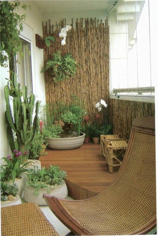 εύκολη φροντίδα φυτά μπαλκόνι μπαμπού ιδιωτική οθόνη μπαλκόνι έπιπλα μπαστούνι