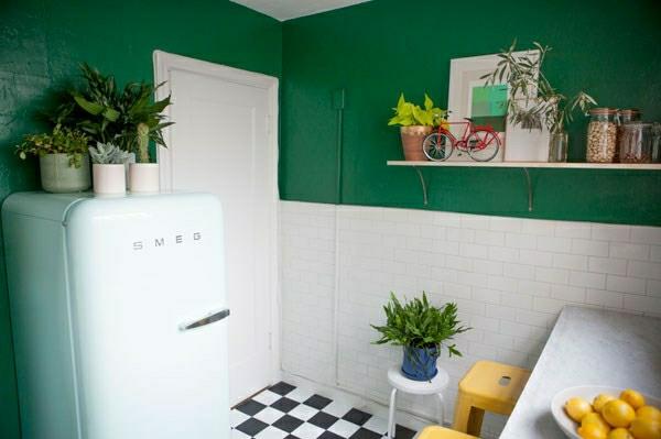 εύχρηστα όμορφα φυτά εσωτερικού χώρου πράσινο χρώμα τοίχου