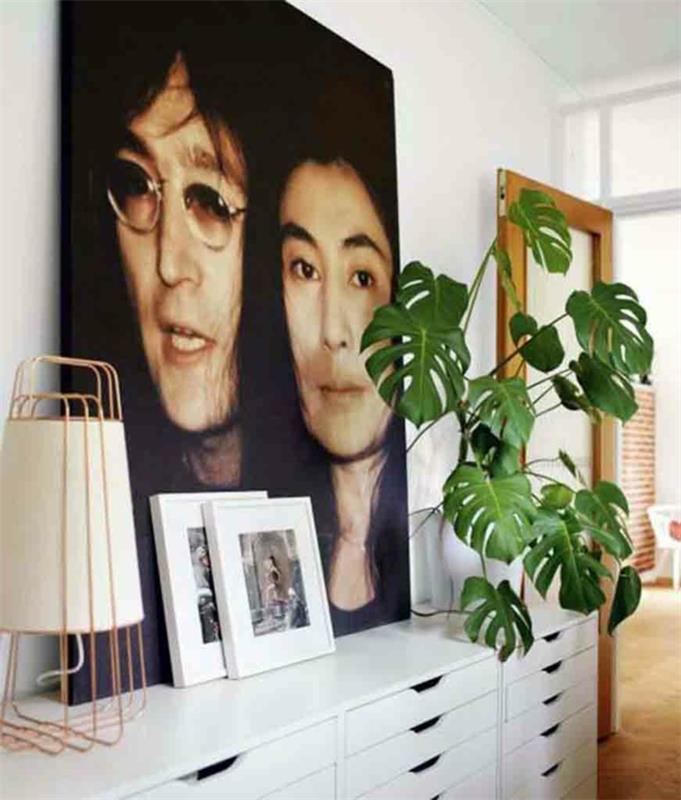 φυτά εσωτερικού χώρου με εύκολη φροντίδα εικόνες ιδέες διακόσμησης τοίχων