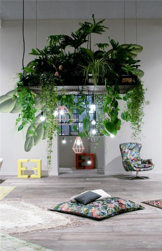 φυτά εσωτερικού χώρου με εύκολη φροντίδα εικόνες κρεμαστά φυτά κρεμαστά φώτα σχέδιο