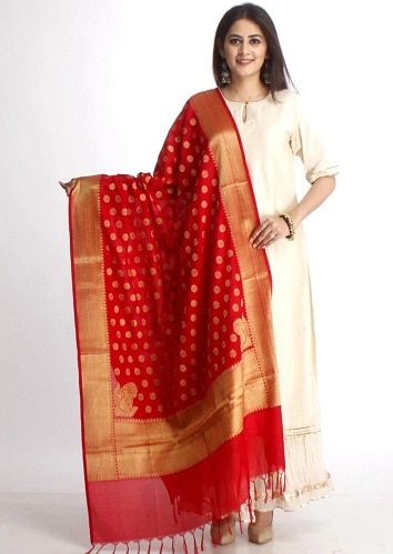 Ağır Dupatta ile Sade Salwar Kameez