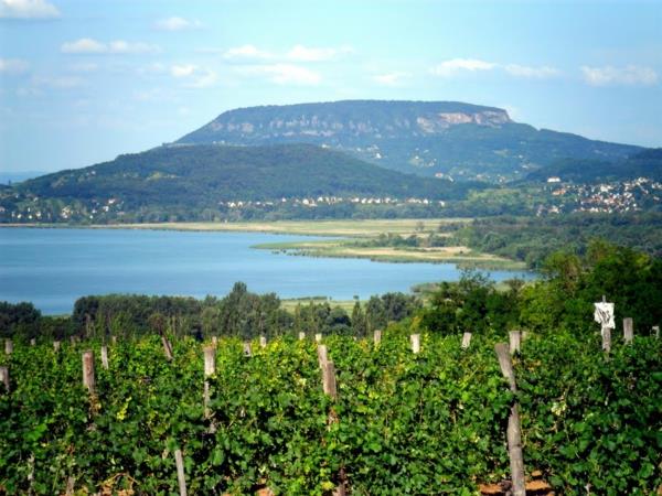 λίμνη μπαλάτον Badacsony grapevines βουνά γεωργίας