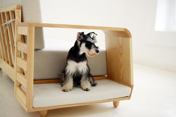 κατοικίδια με εύκολη φροντίδα Seungji Mun καναπέ ξύλινο σπίτι σκύλων
