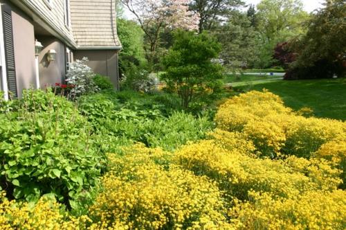 Πλούσια φυτά στον περιποιημένο κήπο κίτρινα λουλούδια κόκκινα λουλούδια
