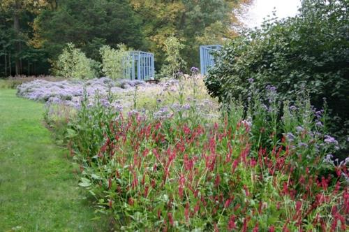 Πλούσια φυτά στον περιποιημένο κήπο συνορεύουν με χορταριασμένες περιοχές με μοβ-κόκκινο χρώμα