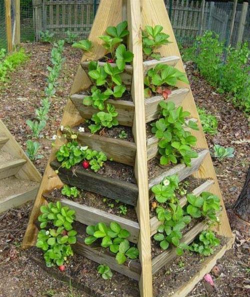 πρακτικές ιδέες διαβίωσης DIY για το ξύλινο σταντ σχεδιασμού του κήπου του σπιτιού σας