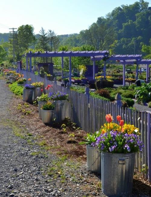πρακτικό σχεδιασμό κήπου μεταλλικά δοχεία φυτά φράχτη μοβ