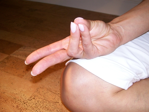 pran-mudra joga 1