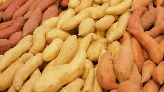 προβιοτικά ποικιλίες πατάτας υγιείς