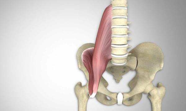 μυς psoas υγιής πλάτη