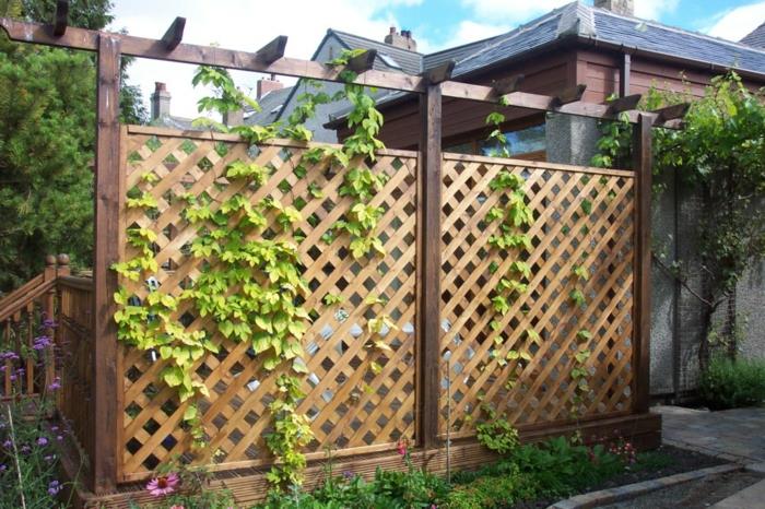Ξύλινες σανίδες φράχτη κήπου Trellis