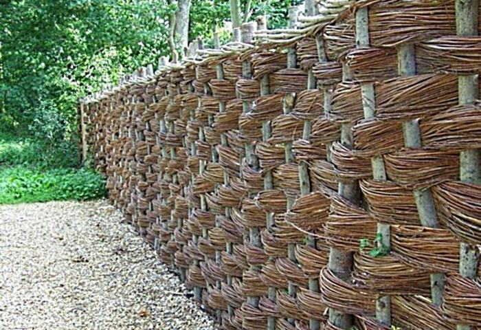 Trellis κήπος φράχτη προστασία της ιδιωτικής ζωής ιτιά