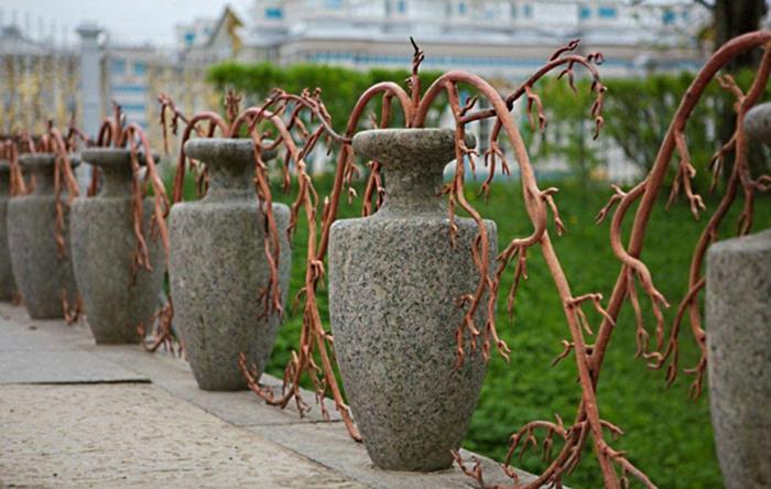 πέργκολα φράχτη κήπο πέτρινα βάζα