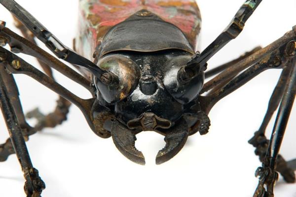 ανακύκλωση κεφαλής μυρμηγκιών τέχνης