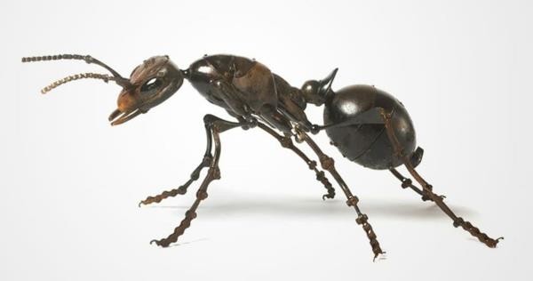 ανακύκλωση μυρμήγκι τέχνης