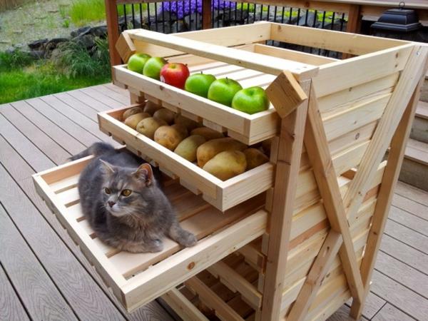 συναρμολογήστε ράφια μόνοι σας φρούτα γάτα