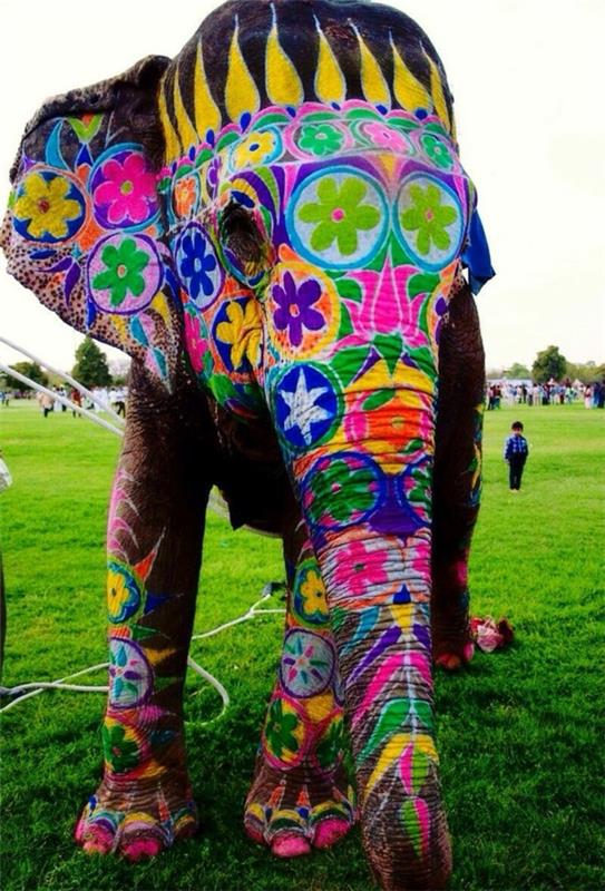 ταξίδι στην Ινδία ινδία ταξίδι ινδικός πολιτισμός ελέφαντας ζωγραφισμένος