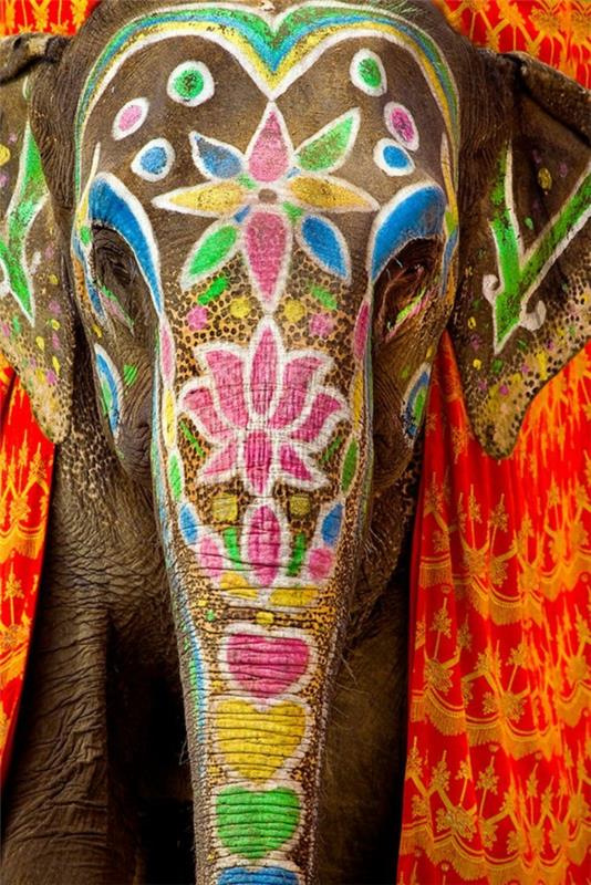 ταξίδι στην ινδική ινδική κουλτούρα ζωγραφισμένους ελέφαντες