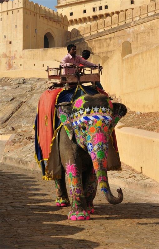 ταξίδι στην Ινδία ινδικός πολιτισμός ελέφαντας