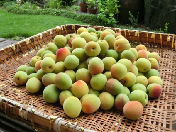 ακατέργαστο σώμα umeboshi αποτοξινώνει τα τρόφιμα