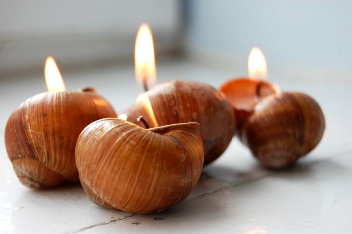 ρομαντικά ζωντανά diy φανάρια σαλιγκάρια