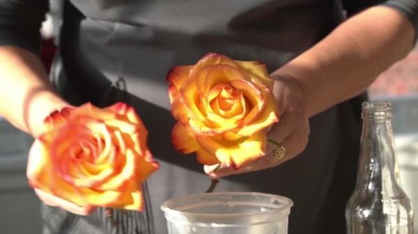 Πώς να διατηρήσετε τα τριαντάφυλλα με κερί