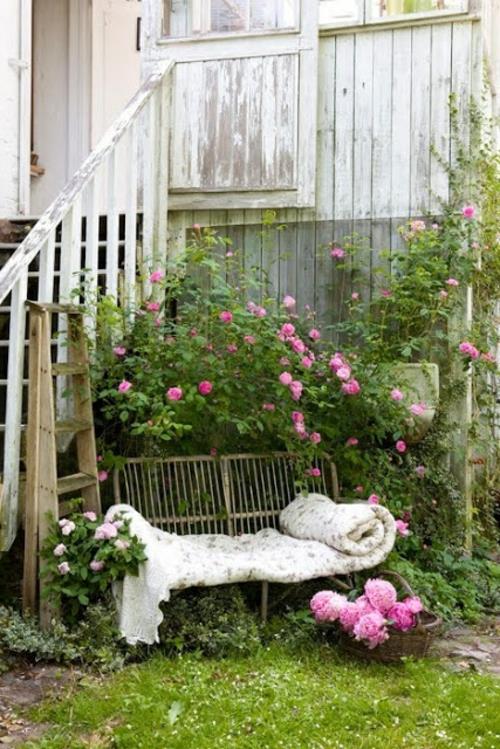 τριαντάφυλλα θάμνος πάγκος μαξιλάρια καλάθι μπροστινή αυλή αγροτικό στυλ