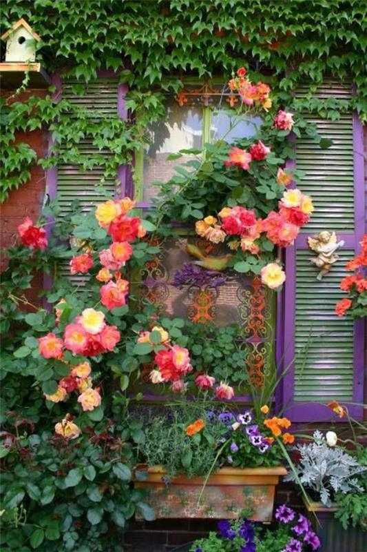 τριαντάφυλλα κομμένα στην άνοιξη θάμνο τριαντάφυλλα πόρτα εισόδου