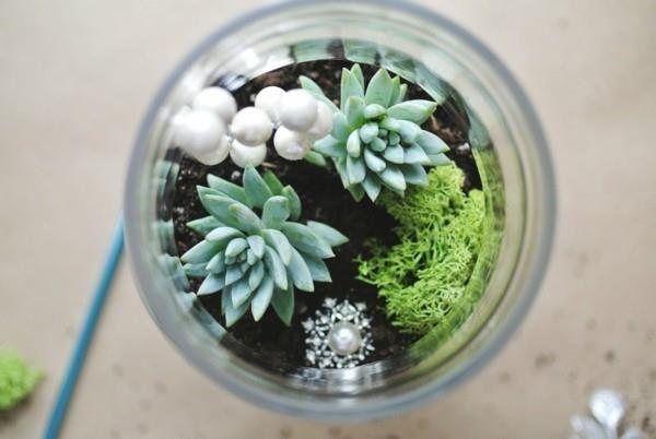 στρογγυλό γυάλινο φυτό terrarium
