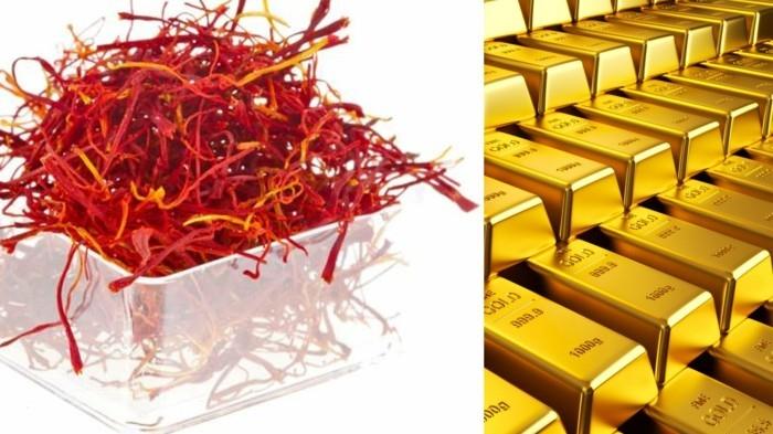 σαφράν μπαχαρικά φαρμακευτικά βότανα ζουν υγιή άνθη σαφράν επεξεργασία νήμα χρυσό