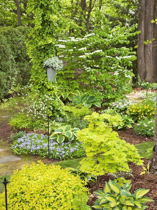 σκιά κήπο ιδέα άνοιξη γοητευτικές daylilies