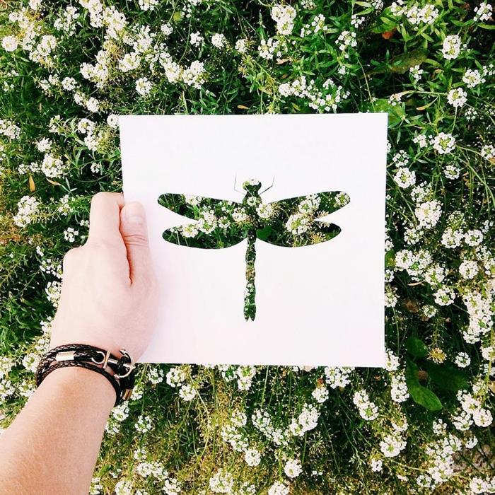 Χαρτί κομμένο πρότυπο λιβελλούλη πεδία λουλούδια λευκά λουλούδια