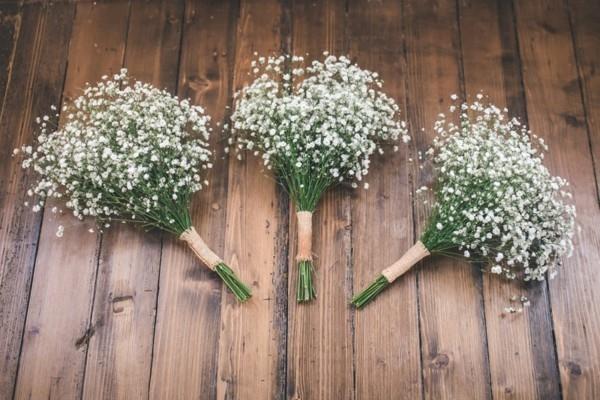 γάμος αχυρώνα gypsophila