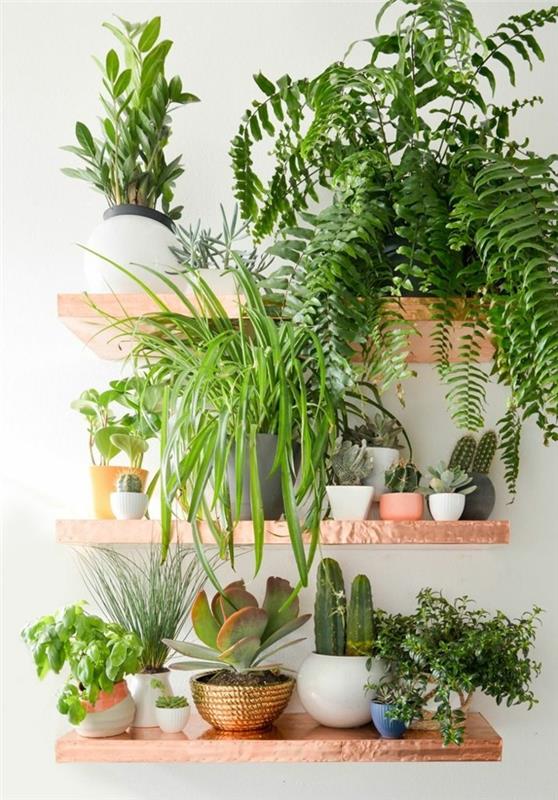 όμορφα φυτά εσωτερικού χώρου εύκολη φροντίδα ράφια ανοιχτού τοίχου πράσινα φυτά