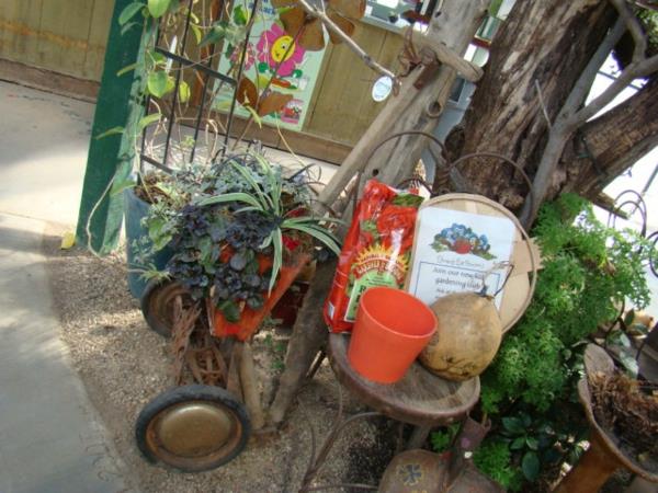 δροσερά φυτά και ιδέες τέχνης κήπου υπαίθρια αγορά δέντρων