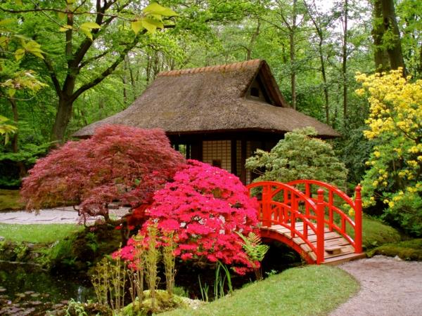 δροσερά φυτά και ιδέες τέχνης κήπου δέντρο ιαπωνικό