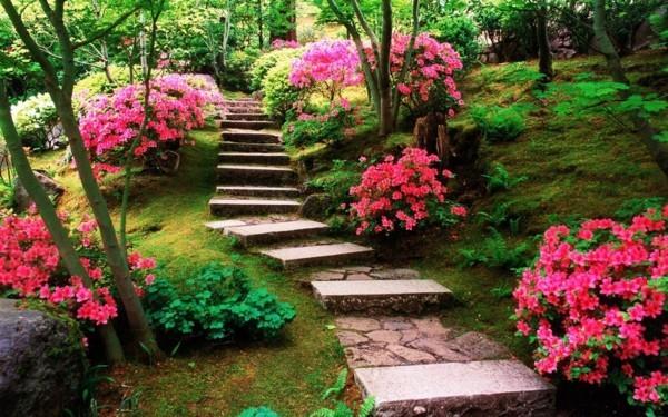 όμορφο σχέδιο κήπου με σκάλες κήπου