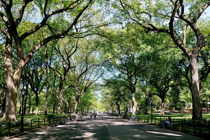 όμορφα τοπία άνοιξη κεντρικό πάρκο Νέα Υόρκη