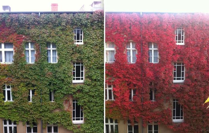 όμορφες εικόνες τοπίου χρώμα πρόσοψης σπιτιού χρώμα ζωντανό πράσινο κόκκινο τέλος της σεζόν