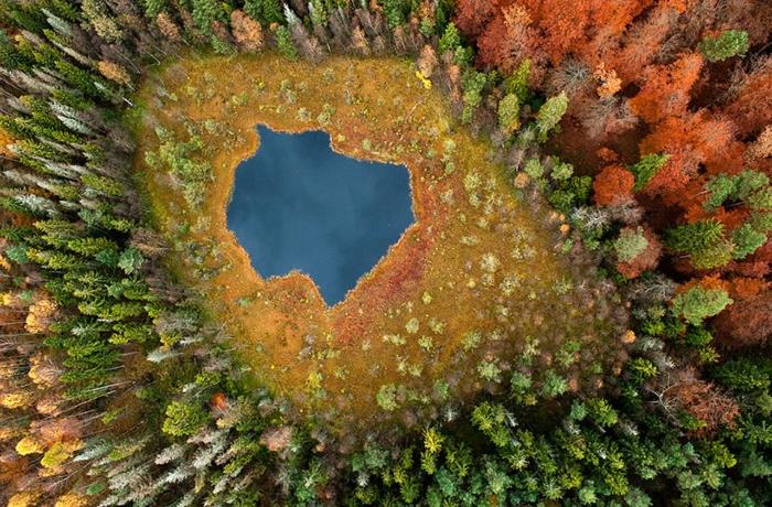 όμορφα τοπία που ζωγραφίζουν δέντρα λίμνη χειμώνα φθινόπωρο