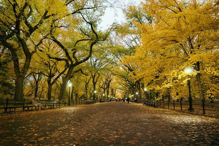 όμορφες εικόνες τοπίου στο τέλος της σεζόν φθινόπωρο κεντρικό πάρκο της Νέας Υόρκης