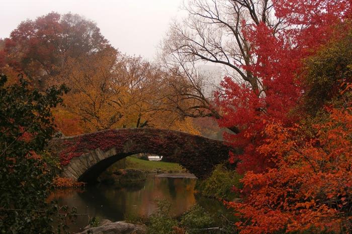 όμορφα τοπία χειμώνα φθινόπωρο κόκκινη κίτρινη γέφυρα στάθμη του ποταμού