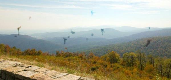 πανέμορφο πανόραμα με πολλούς πλωτήρες