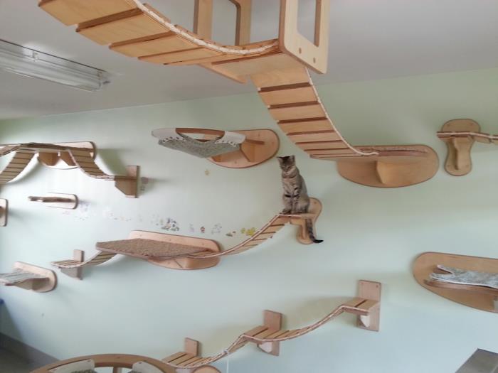 όμορφες ιδέες διαβίωσης σχεδιασμός δωματίου γάτας