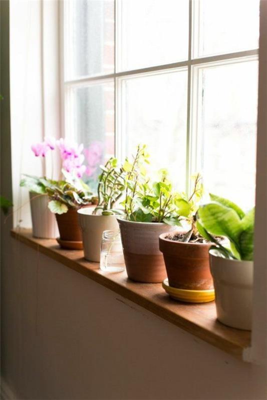 όμορφες ιδέες σπιτιού φυτά διακοσμούν περβάζι παραθύρου
