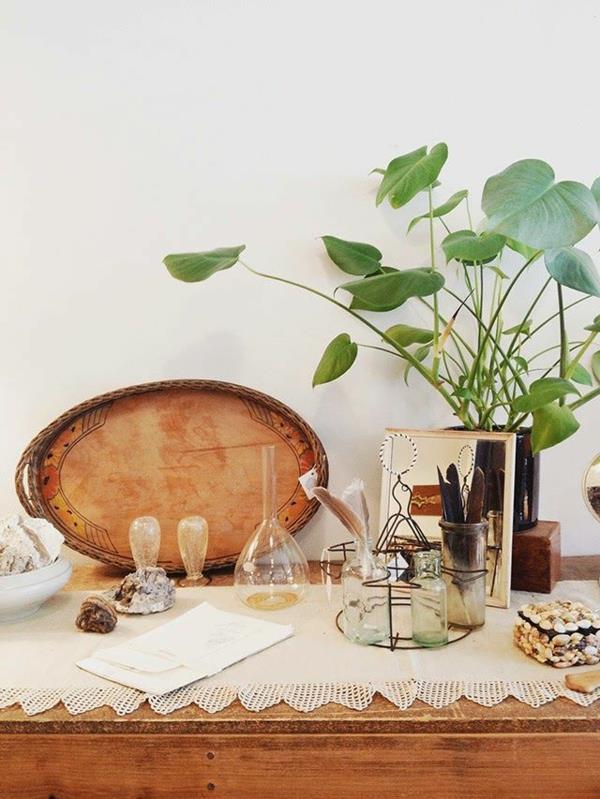 συλλογή εικόνων όμορφα φυτά εσωτερικού χώρου vintage έπιπλα πραγματικό ξύλο
