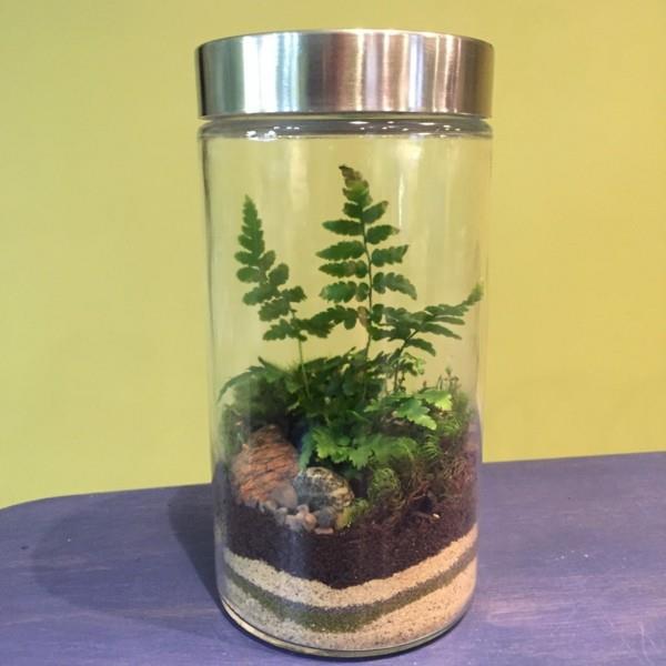 όμορφο γυάλινο φυτό terrarium