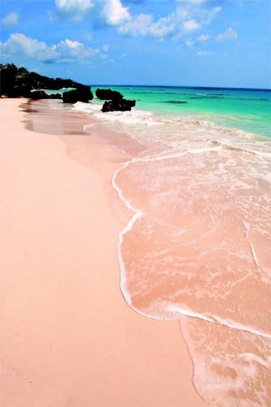 πιο όμορφες παραλίες Pink Sand Beach Μπαχάμες