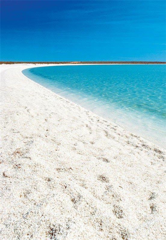 οι πιο όμορφες παραλίες shell beach australia