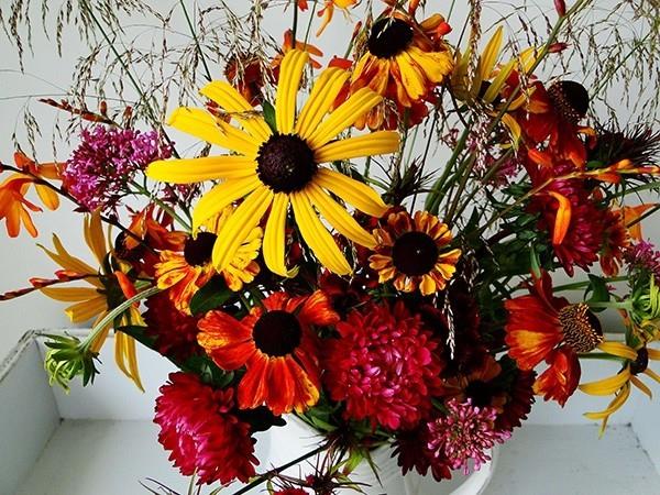 όμορφα λουλούδια για το φθινόπωρο - υπέροχη ιδέα
